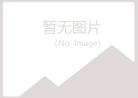 青岛李沧山柏咨询有限公司